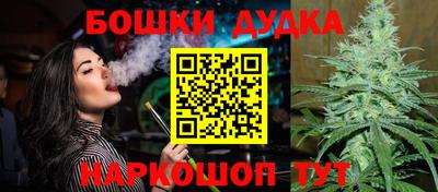 индика Балашиха