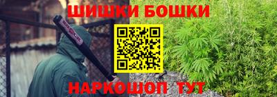 индика Балашиха