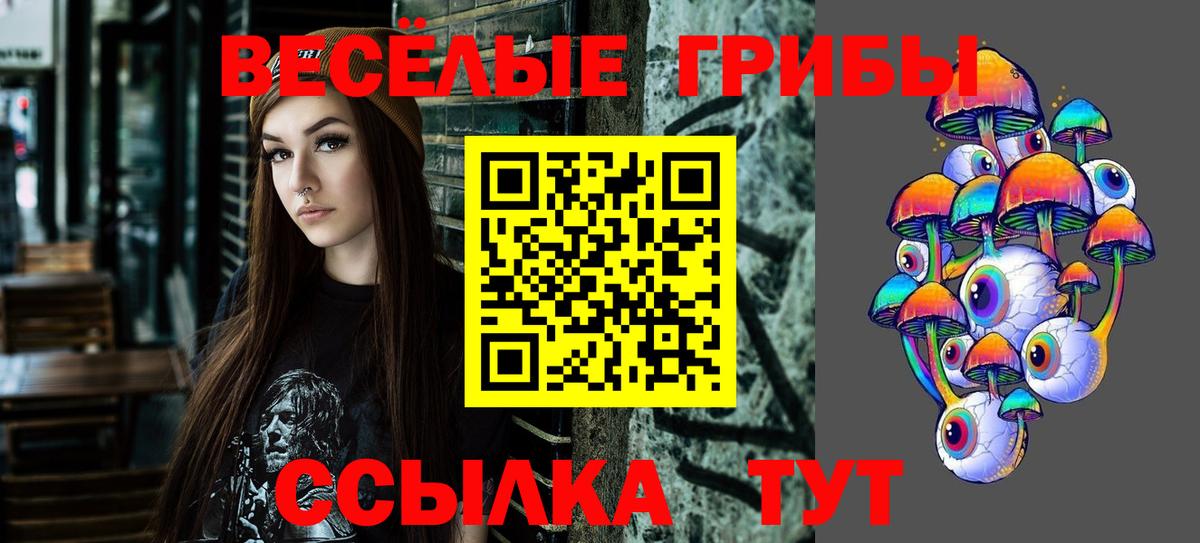 Галлюциногенные грибы ЛСД  продажа наркотиков  Вход с VPN  Елизово  Псилоцибиновые грибы мицелий 